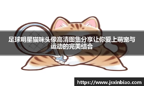 足球明星猫咪头像高清图集分享让你爱上萌宠与运动的完美结合